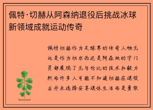 佩特·切赫从阿森纳退役后挑战冰球新领域成就运动传奇